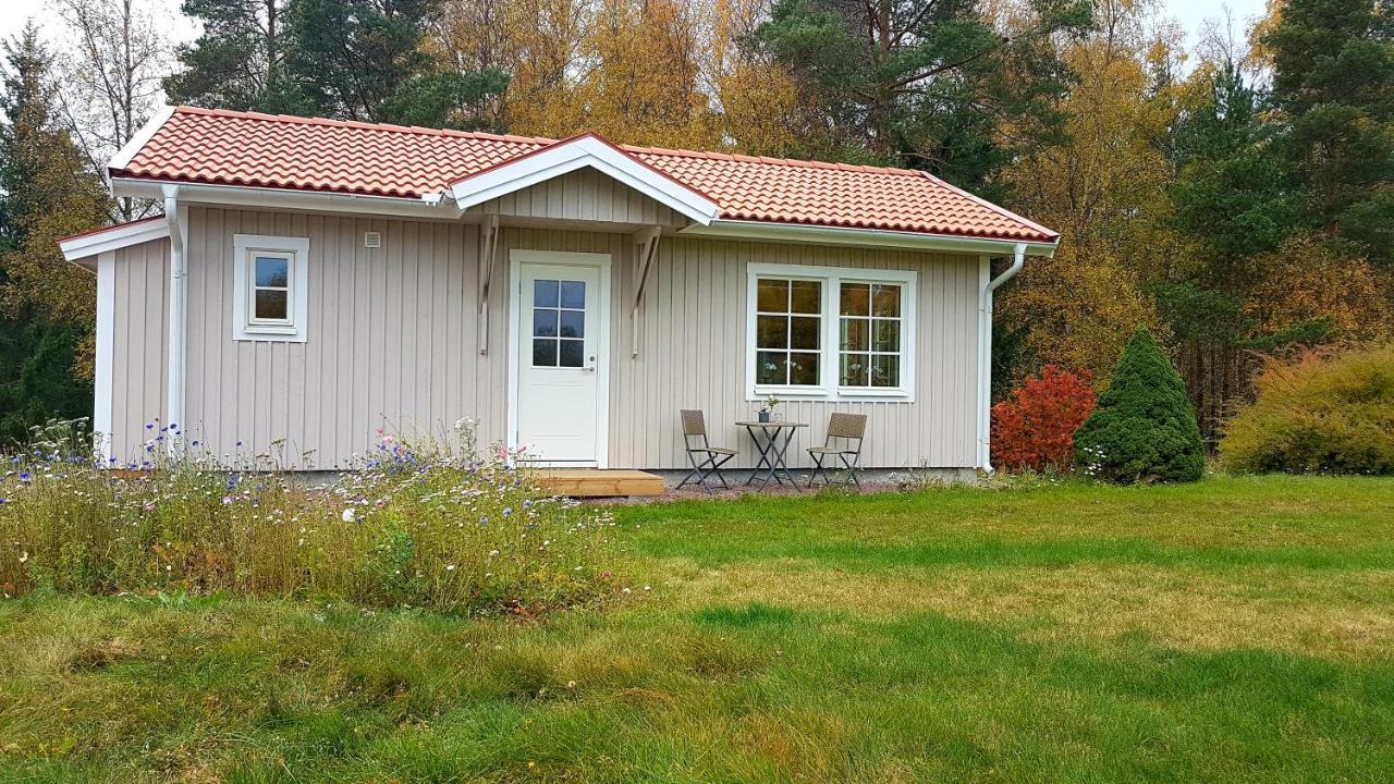 Nybyggd Stuga Intill Skogsbrynet - New Built Cottage Next To The Cowberry Forest Mora Exterior foto